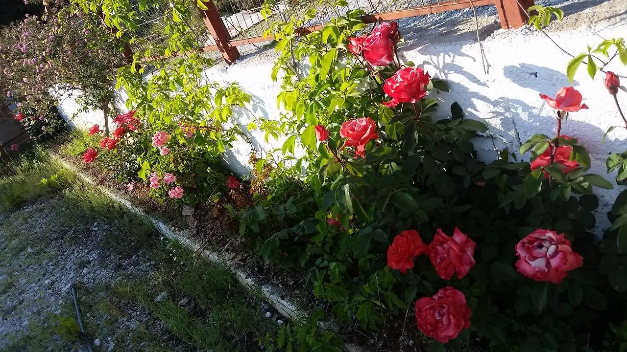 Penzion Guesthouse Rondo Himarë